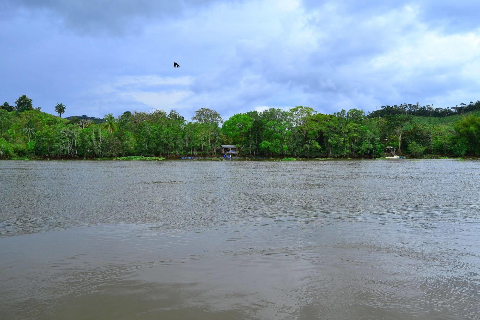Hotel Sierpe River Buitenkant foto